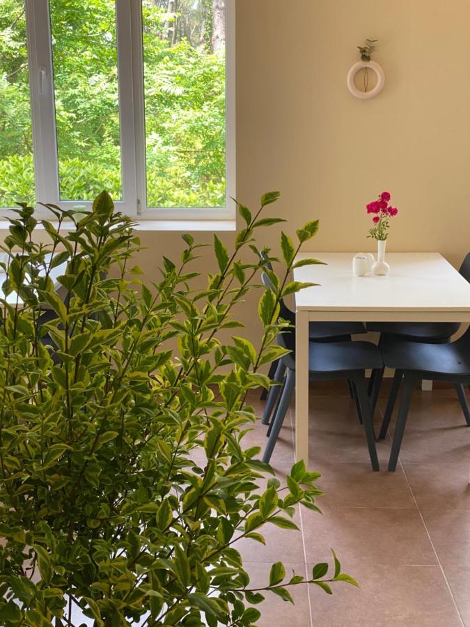 Buxus Hotel Shekvetili 외부 사진