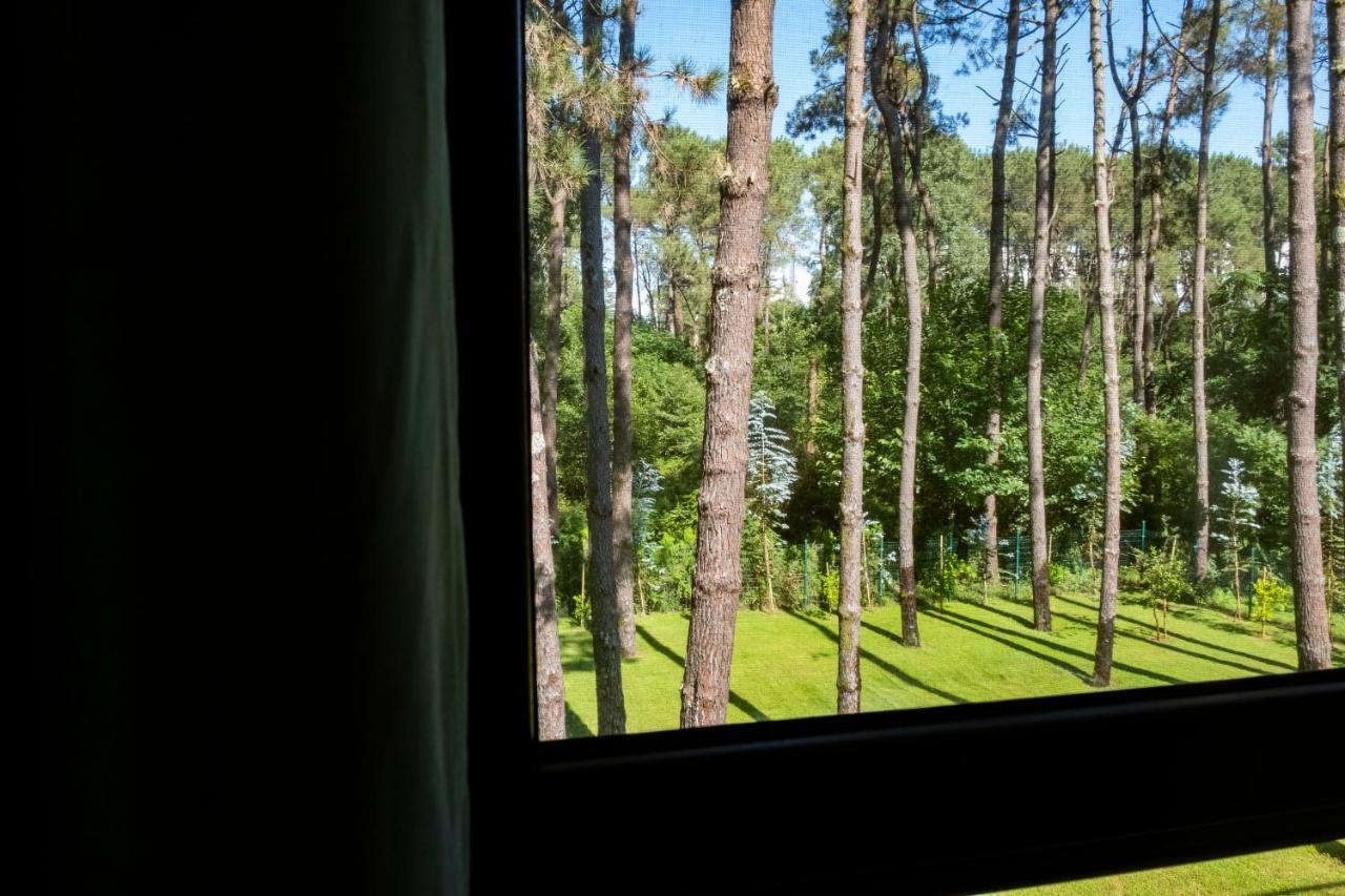 Buxus Hotel Shekvetili 외부 사진