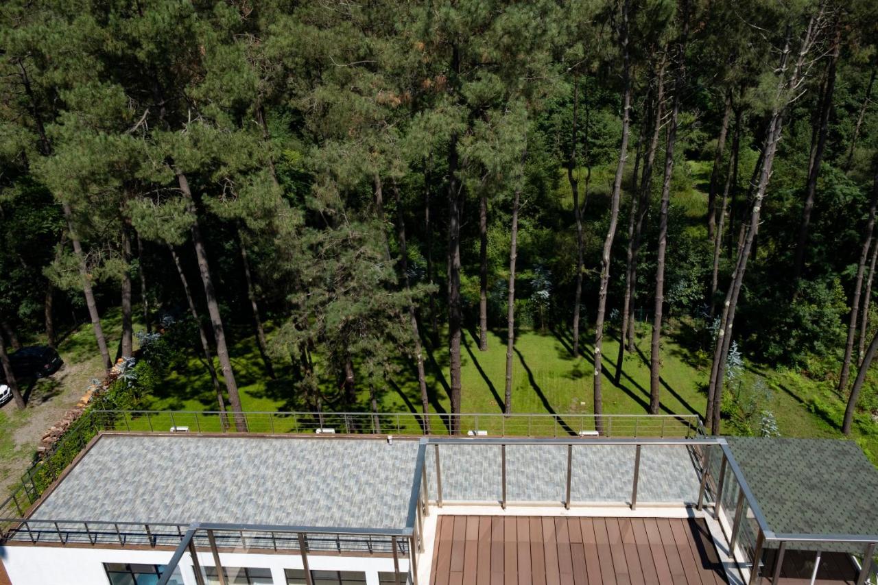 Buxus Hotel Shekvetili 외부 사진