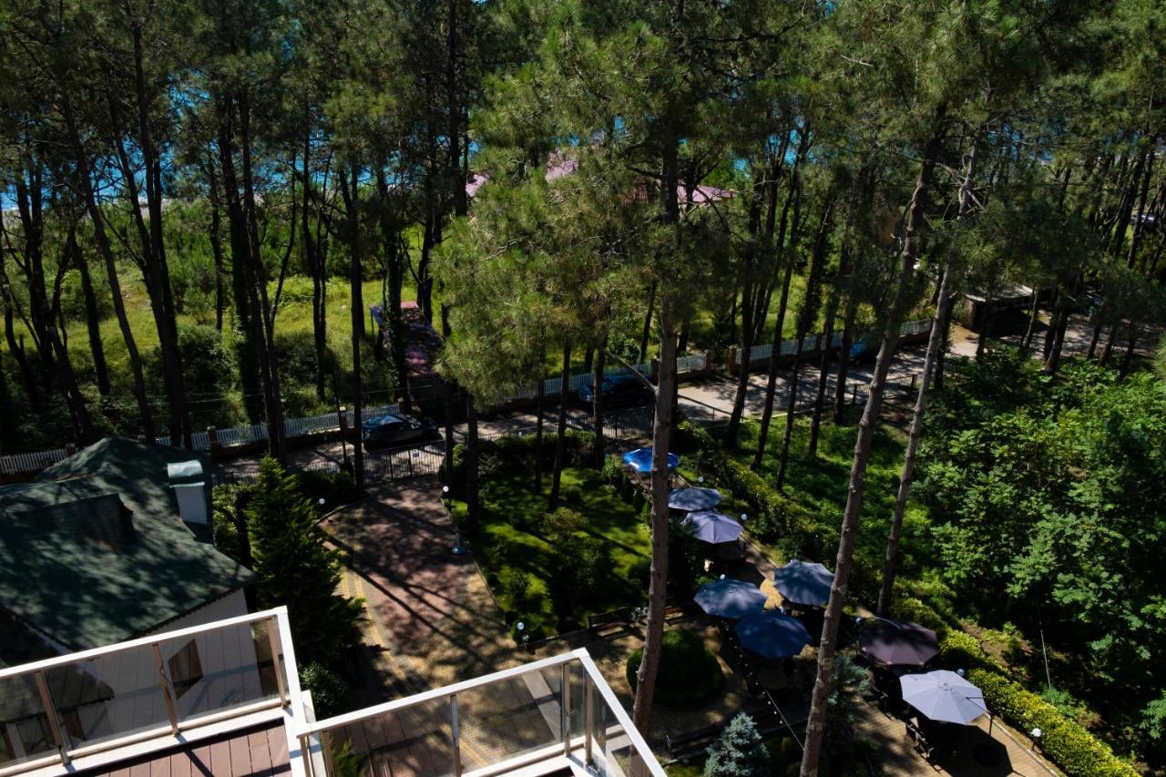 Buxus Hotel Shekvetili 외부 사진