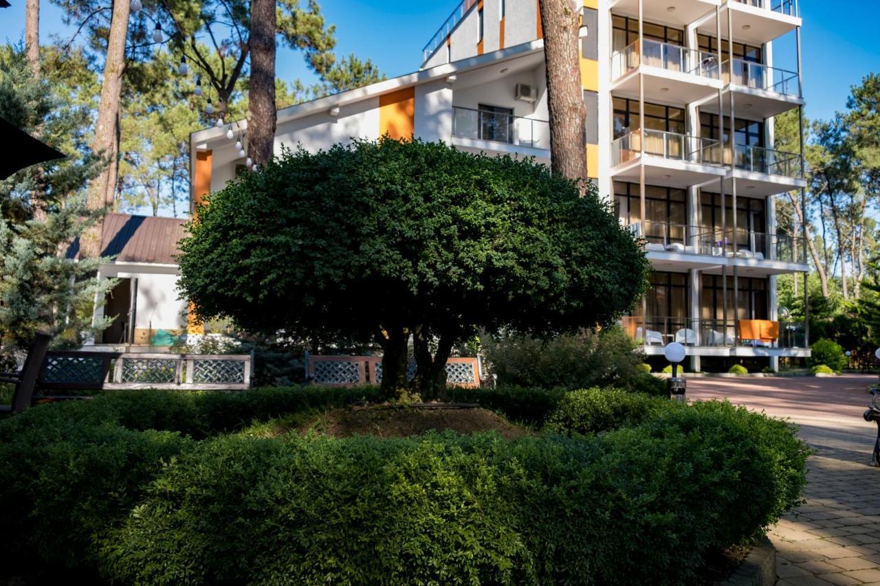 Buxus Hotel Shekvetili 외부 사진